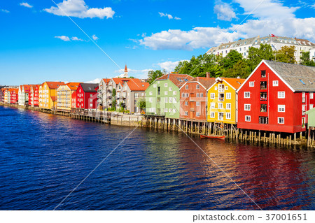 Colorful old houses, Trondheim 37001651