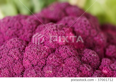 Purple Broccoli Vegan close-up macro 37001712