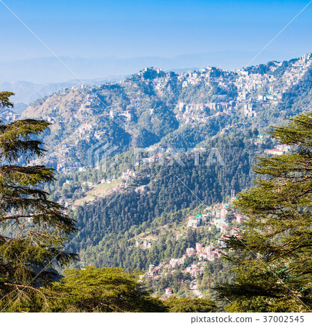 Shimla in India Shimla in India 37002545