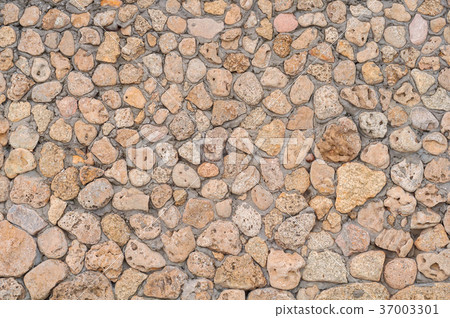 background of yellow shellfish 37003301