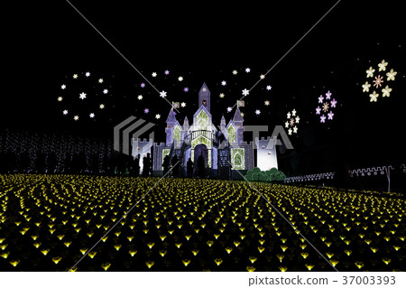 照明足利花卉公園花城堡 照明足利花卉公園花城堡 37003393