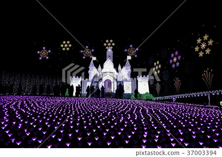 Illuminations Ashikaga Flower Park Flower Castle 37003394