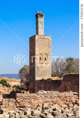 Chellah in Rabat 37003536