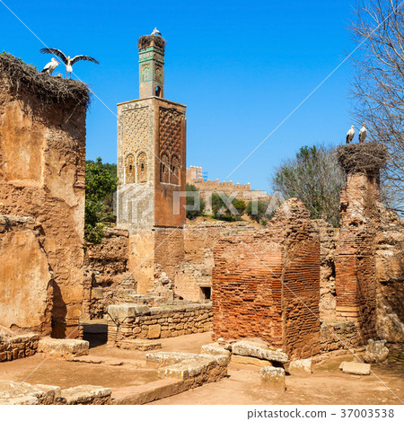 Chellah in Rabat 37003538