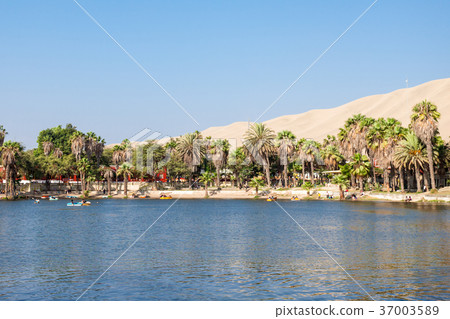 Huacachina desert dunes 37003589