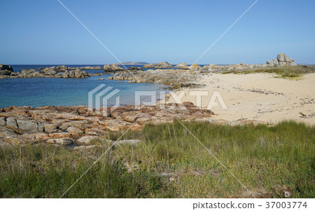 O Grove, Galicia, Spain O Grove, Galicia, Spain 37003774