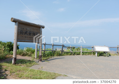Shimowakezigo coast 37004270