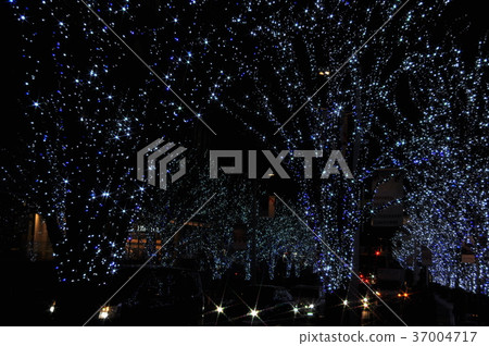 Night scene Night scene 37004717