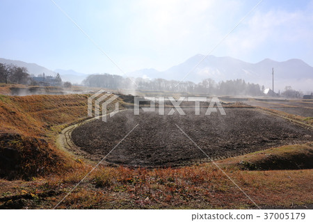 Winter morning fog Winter morning fog 37005179