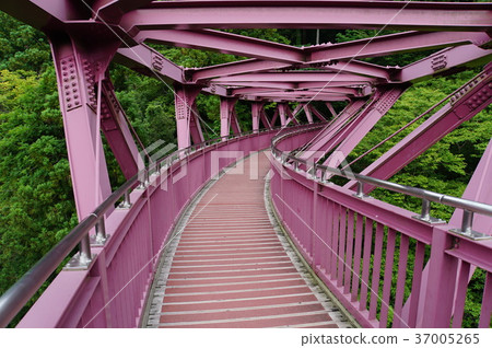 阿亞里罷工 37005265