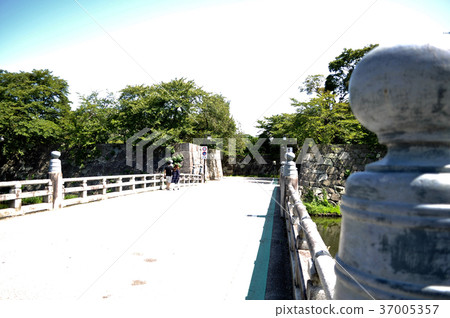 彥根城堡圖片 37005357