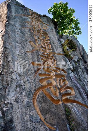 琵琶湖Takagejima圖片 37005652