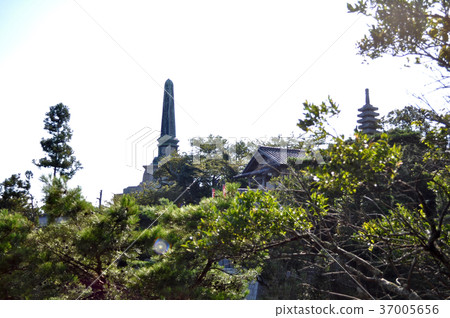 Lake Biwa Takagejima Pictures 37005656