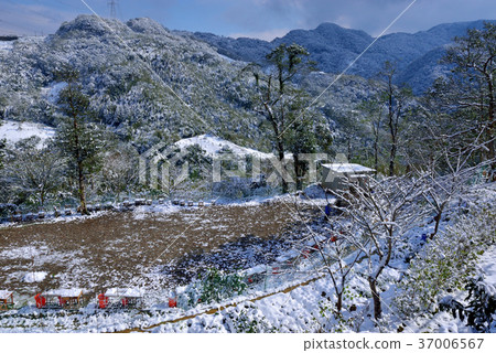 雪景,下雪,鄉野,視野,山,冬季,冬天,森林,樹,臺灣,桃園,新鮮,自然, 雪景,下雪,鄉野,視野,山,冬季,冬天,森林,樹,臺灣,桃園,新鮮,自然, 37006567