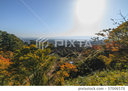 從秋天Kasugayama城堡看的風景 從秋天Kasugayama城堡看的風景 37006578