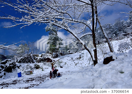 Snow, snowing, countryside, horizon, mountain, winter, winter, forest, tree, taiwan, peach garden, fresh, nature Snow, snowing, countryside, horizon, mountain, winter, winter, forest, tree, taiwan, peach garden, fresh, nature 37006654