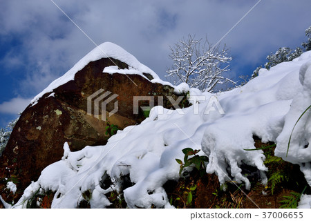 Snow, snowing, countryside, horizon, mountain, winter, winter, forest, tree, taiwan, peach garden, fresh, nature Snow, snowing, countryside, horizon, mountain, winter, winter, forest, tree, taiwan, peach garden, fresh, nature 37006655