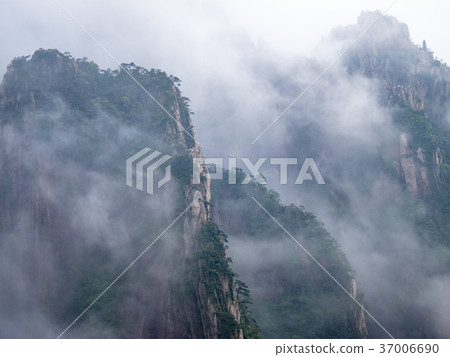 Meishan Huangshan of China Meishan Huangshan of China 37006690