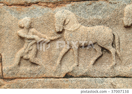 The Horseman The Horseman 37007138