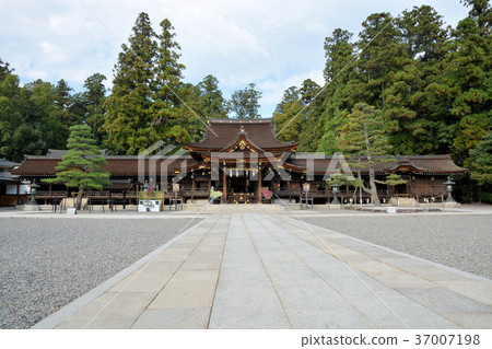 Taga Taisha 37007198