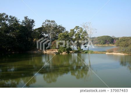 Lake and Trees Lake and Trees 37007483