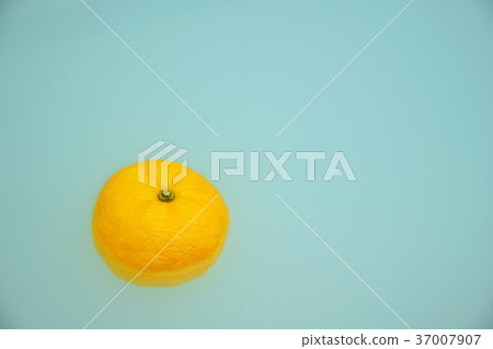 冬至溫泉 冬至溫泉 37007907