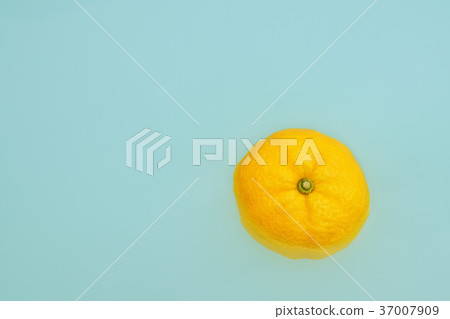 冬至溫泉 37007909