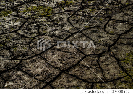 Slight darkening c-2 on cracked farmland 37008502