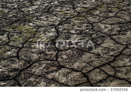 Slight dander to cracked farmland d-3 Slight dander to cracked farmland d-3 37008506