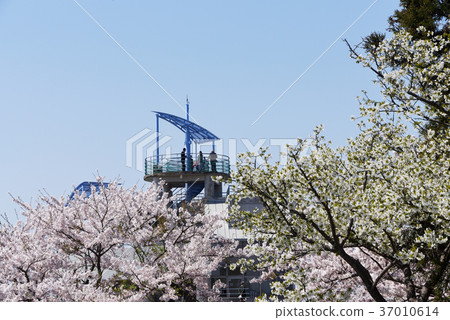 Shonan Pyeong (Goryeong Park) 37010614