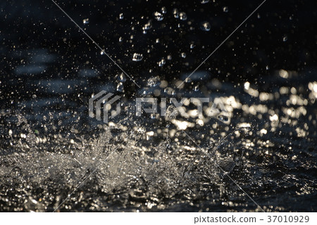 Countless water droplets burst in the sunlight, creating a beautiful, refreshing dance of water splashes at the water's edge in Kita-Urawa Park. Countless water droplets burst in the sunlight, creating a beautiful, refreshing dance of water splashes at the water's edge in Kita-Urawa Park. 37010929
