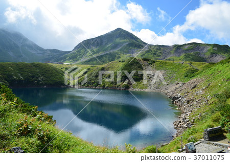 [富山]立山黑部阿爾卑斯山脈路線禦栗賀池塘 37011075