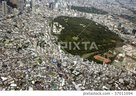 Aerial view from Yoyogi Park near Tomigaya, Shibuya-ku 37011094