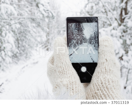 Girl is holding a mobile phone 37011319