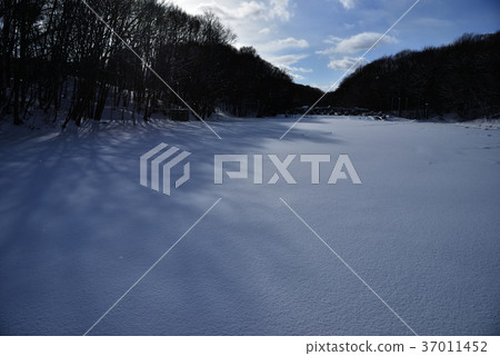 公園廣場雪景 37011452