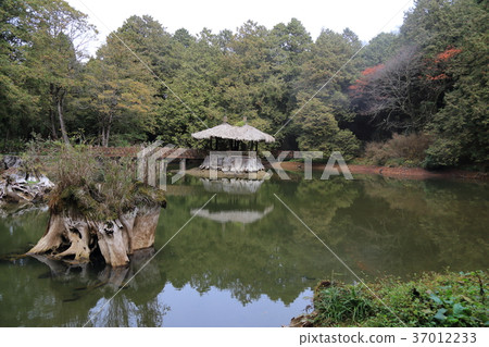阿里山森林遊樂區·姐妹 37012233