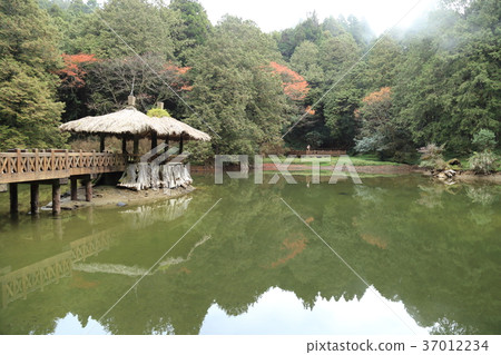 阿里山森林遊樂區·姐妹 37012234