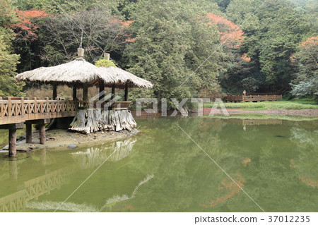 阿里山森林遊樂區·姐妹 阿里山森林遊樂區·姐妹 37012235