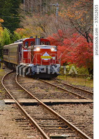 Watarase Valley Journey along the railroad 37012655