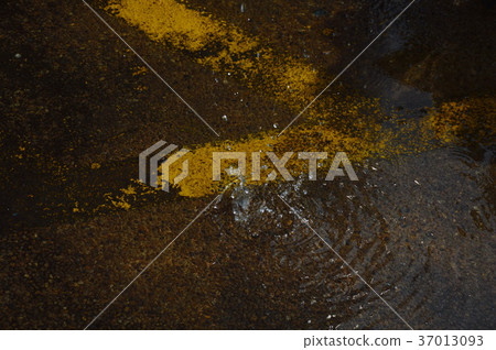 rain drop and splashing on street in rainy day rain drop and splashing on street in rainy day 37013093