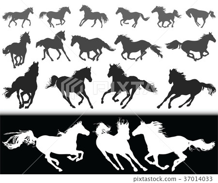 silhouettes of horses silhouettes of horses 37014033