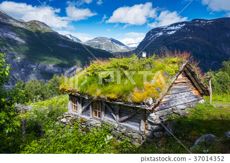The grass-roofed houses in Norway 37014352