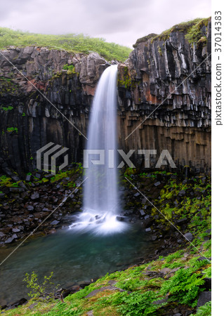 Famous Svartifoss waterfall 37014383