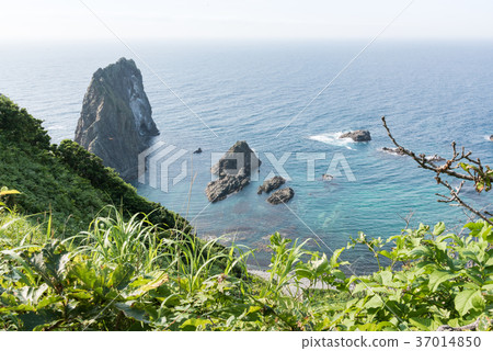 Shimowakezigo海岸 37014850