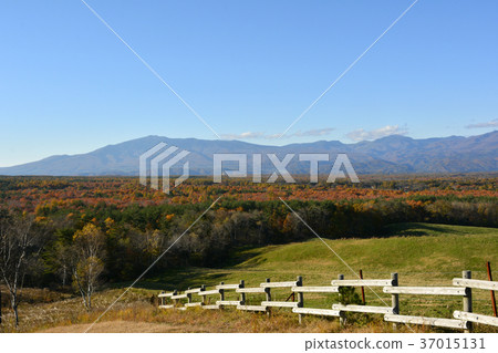 Asama Farm Asama Farm 37015131