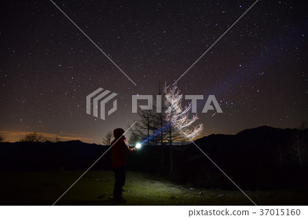 starry skies 37015160