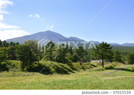Mt. Asama 37015539