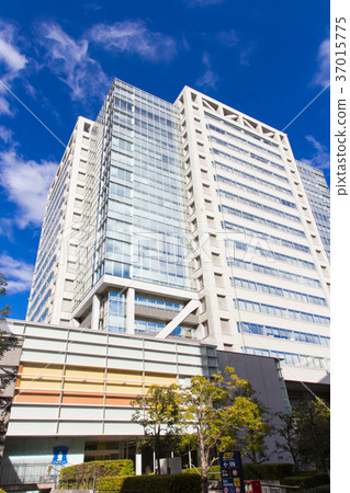 Shibata, Aroma Square Shibata, Aroma Square 37015775