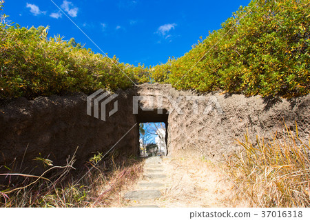 Omori Kaizuka ruins garden Omori Kaizuka ruins garden 37016318
