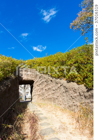 大森Kaizuka廢墟花園 大森Kaizuka廢墟花園 37016319